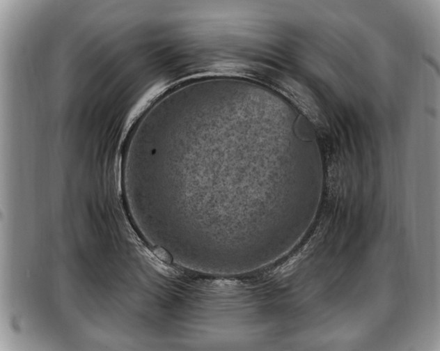 X0000097501180200802291552