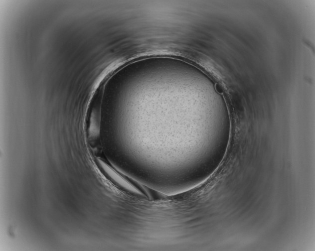 X0000097501181200802291552