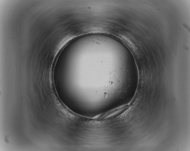 X0000097501182200802291552