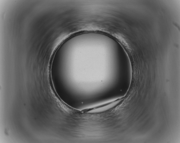 X0000097501183200802291552