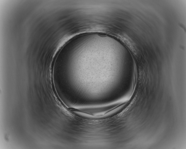 X0000097501184200802291552