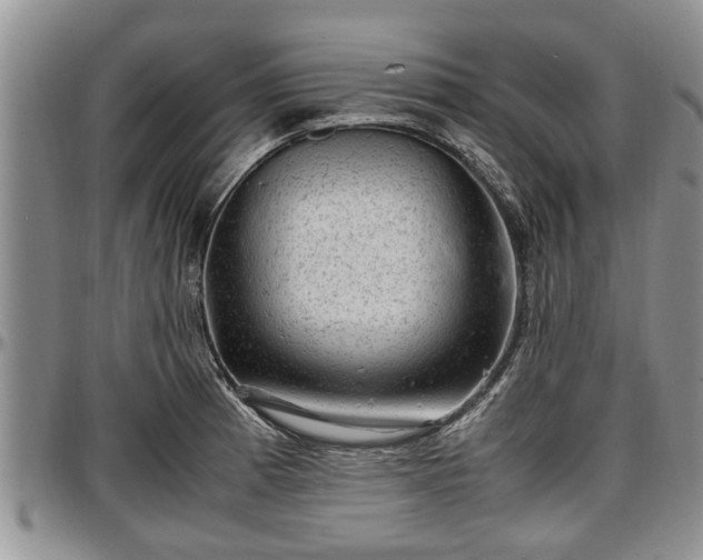 X0000097501185200802291552