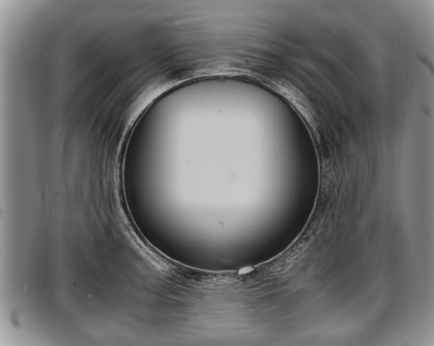 X0000097501187200802291551