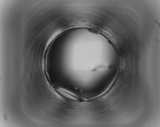 X0000097501188200802291551