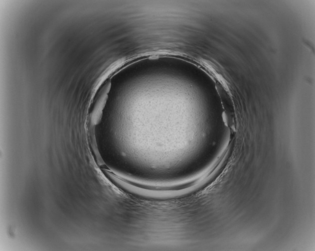 X0000097501189200802291551