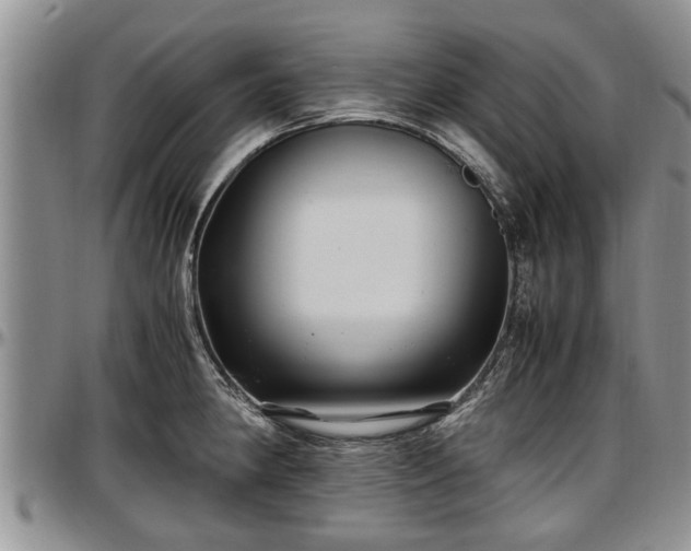 X0000097501190200802291551