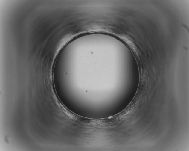 X0000097501191200802291551