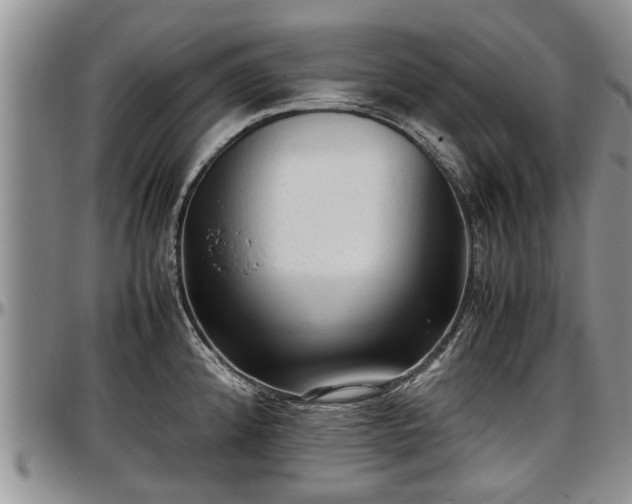 X0000097501192200802291551