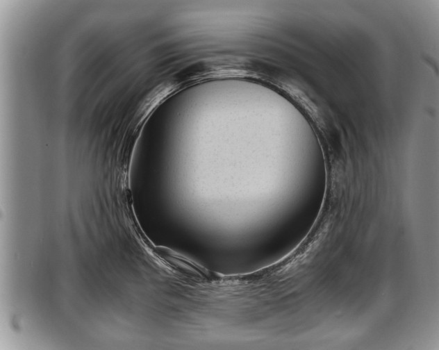 X0000097501193200802291551