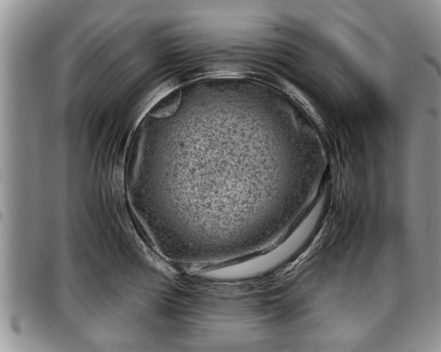 X0000097501194200802291551
