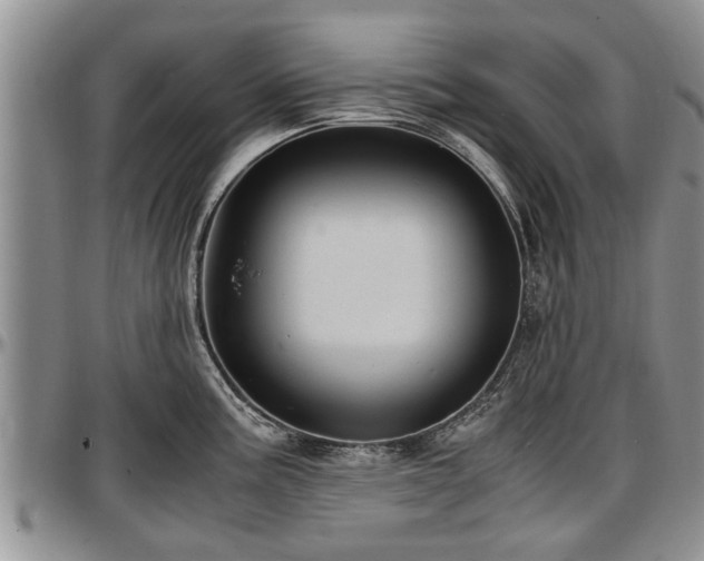 X0000097501195200802291551