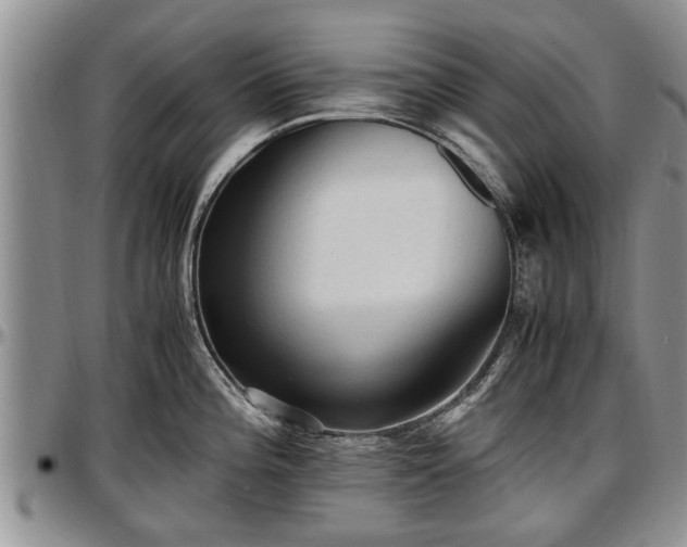 X0000097501196200802291551
