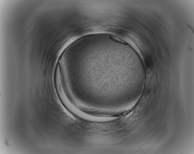 X0000097501197200802291551