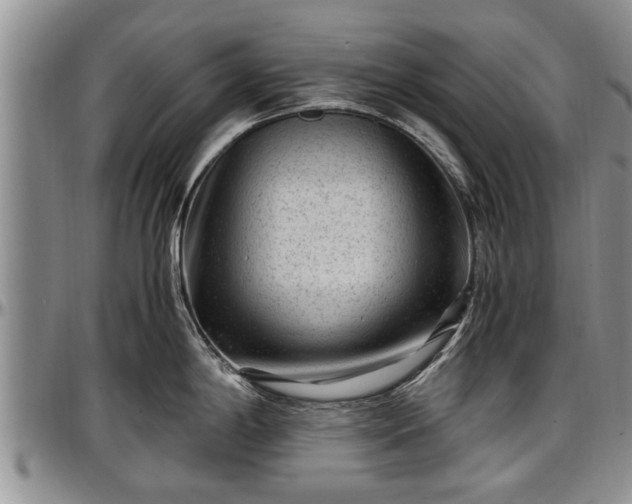 X0000097501198200802291551