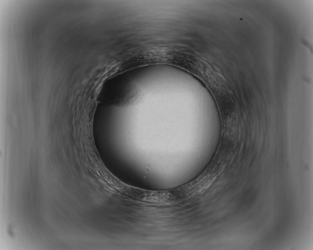 X0000097501201200802291551