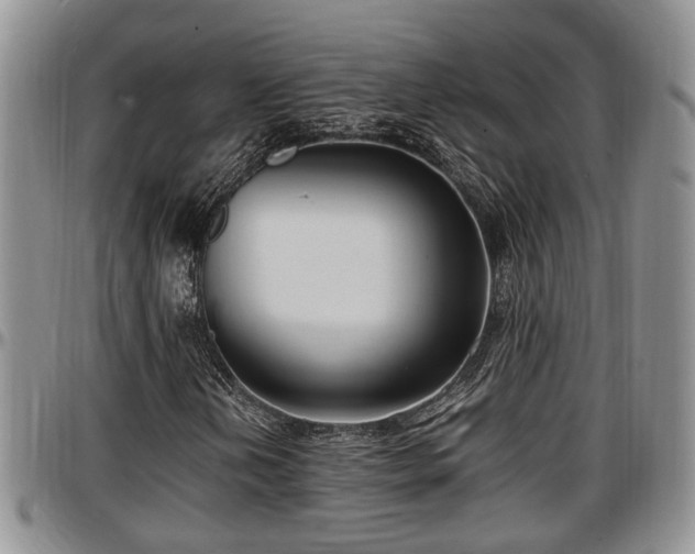 X0000097501202200802291551
