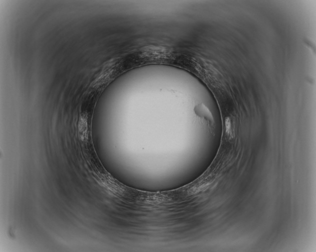 X0000097501203200802291551