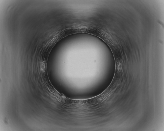 X0000097501204200802291551
