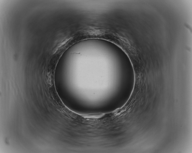 X0000097501205200802291551