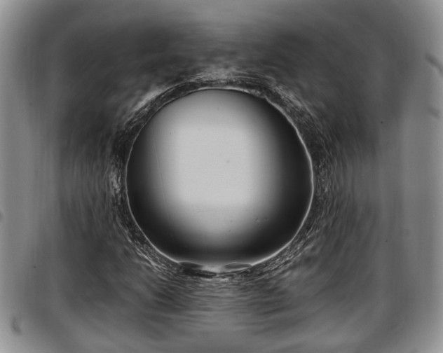 X0000097501206200802291551