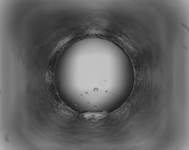 X0000097501207200802291551