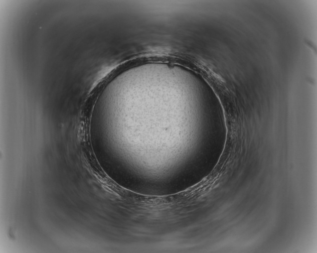 X0000097501208200802291551