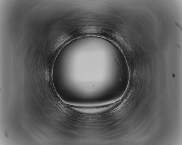 X0000097501209200802291551