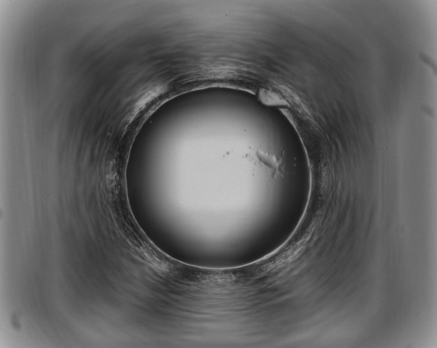 X0000097501210200802291551