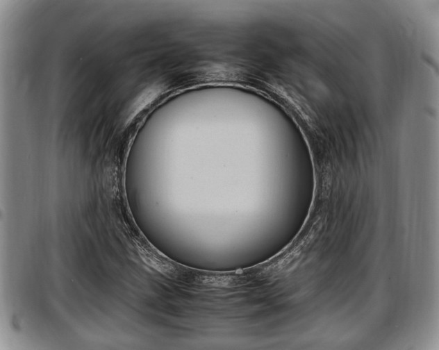 X0000097501211200802291551