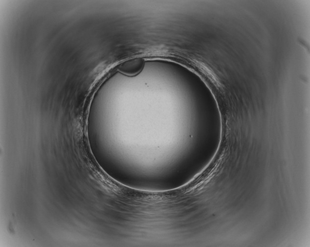 X0000097501212200802291551