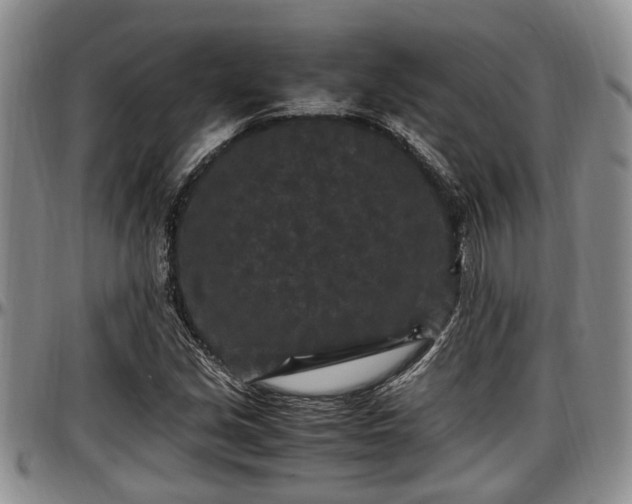X0000097501213200802291551