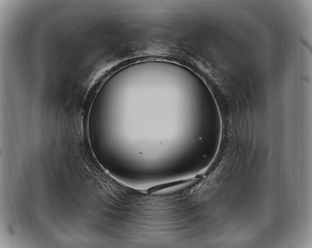 X0000097501214200802291551