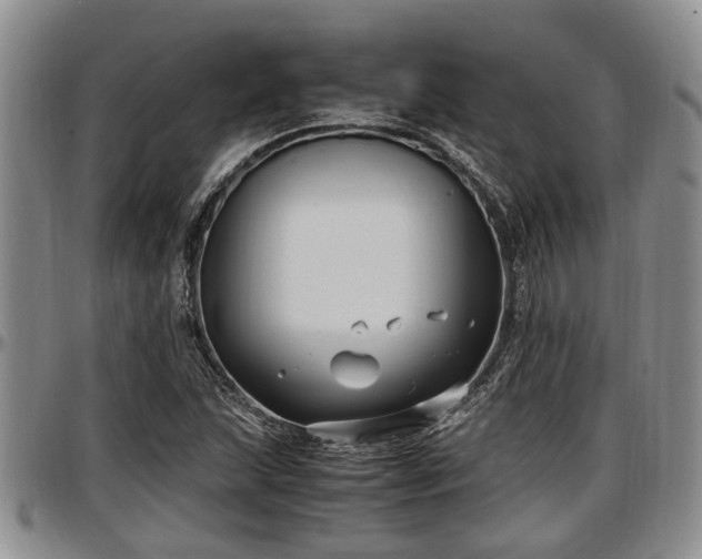 X0000097501215200802291551