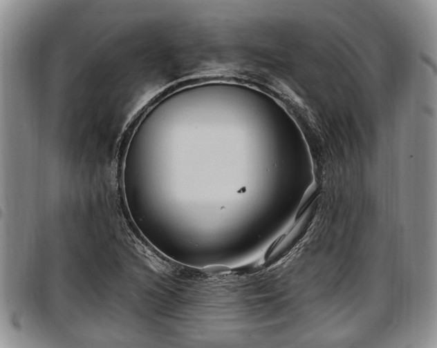 X0000097501216200802291551
