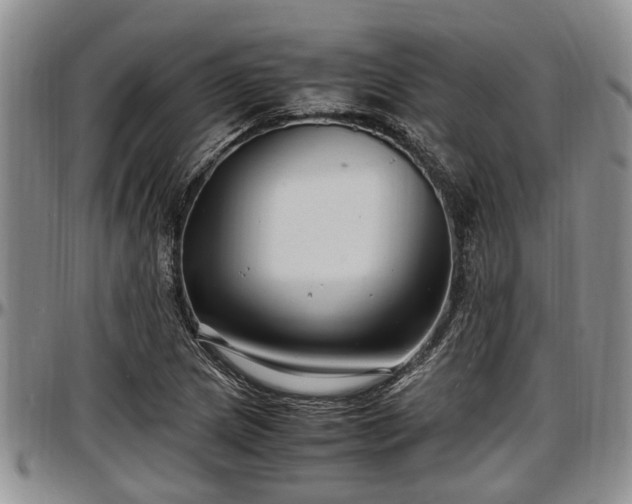 X0000097501217200802291551