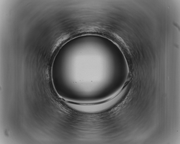 X0000097501218200802291551