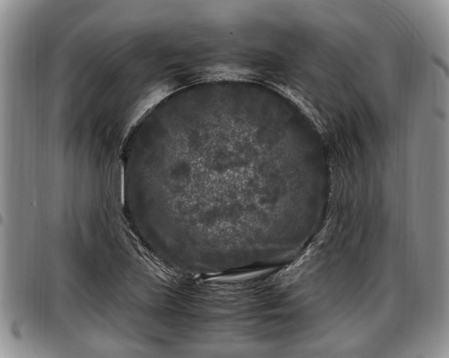 X0000097501219200802291551