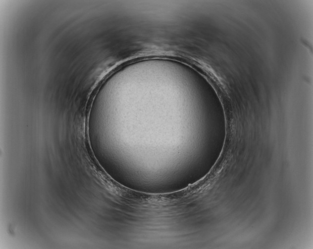 X0000097501220200802291551