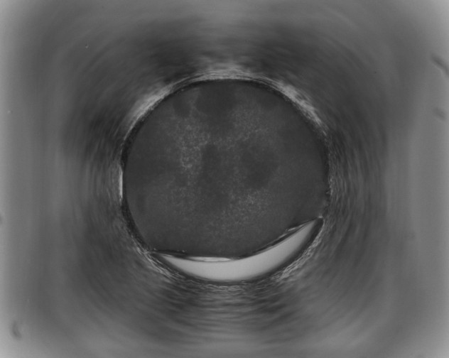 X0000097501221200802291551
