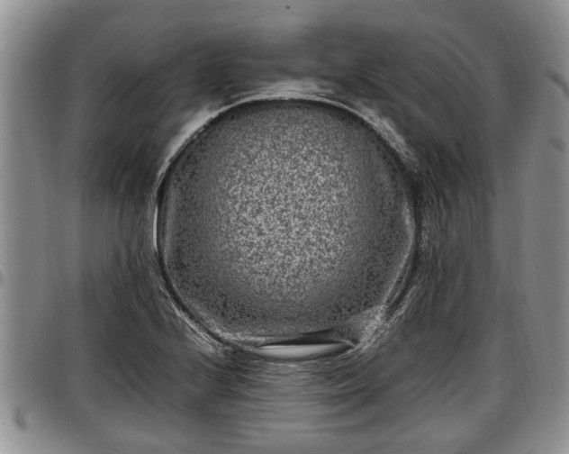 X0000097501224200802291551