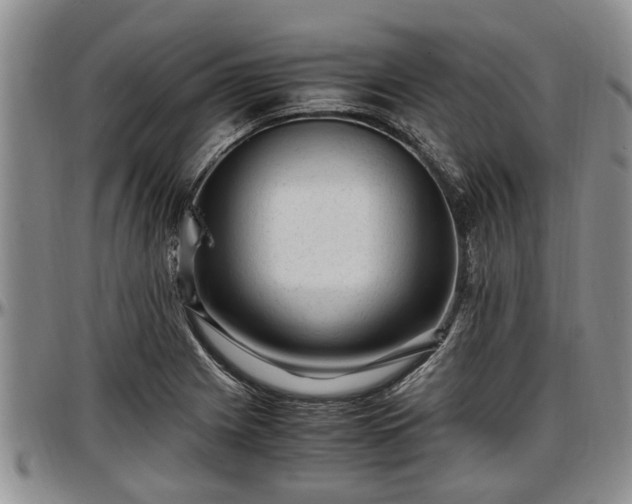 X0000097501225200802291551