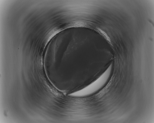 X0000097501226200802291551