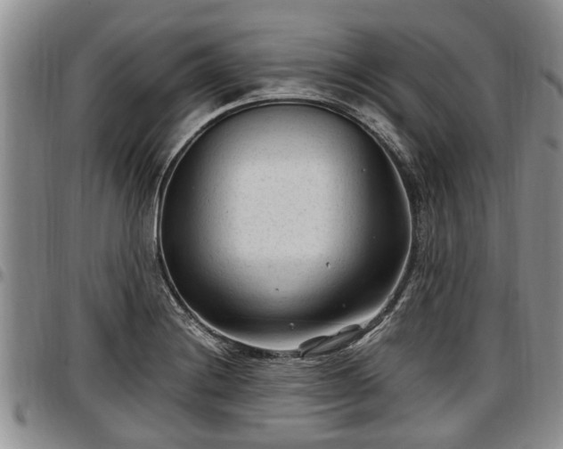 X0000097501228200802291551