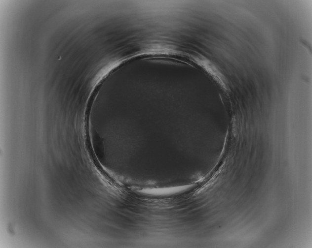 X0000097501229200802291551