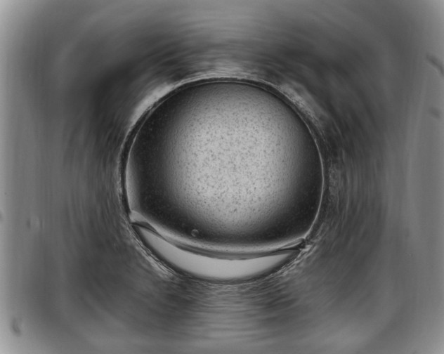 X0000097501230200802291551