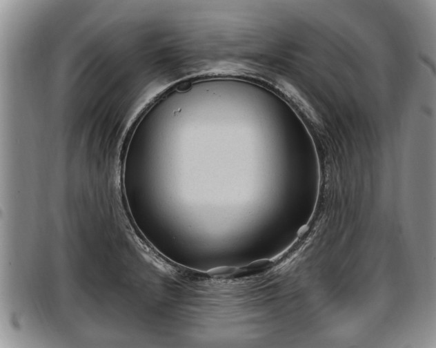 X0000097501232200802291551