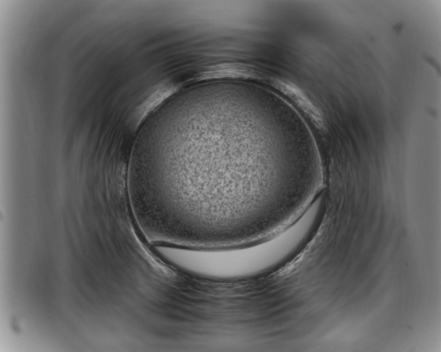 X0000097501233200802291551