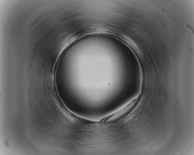 X0000097501234200802291551