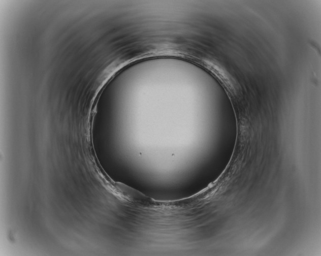 X0000097501236200802291551