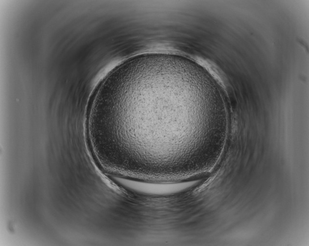 X0000097501237200802291551